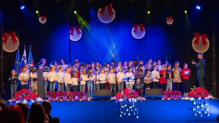 Bozˇicˇno novoletni koncert Obcˇine Ribnica24-03991